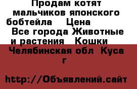 Продам котят мальчиков японского бобтейла. › Цена ­ 30 000 - Все города Животные и растения » Кошки   . Челябинская обл.,Куса г.